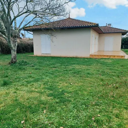 L'albizia By Interhome